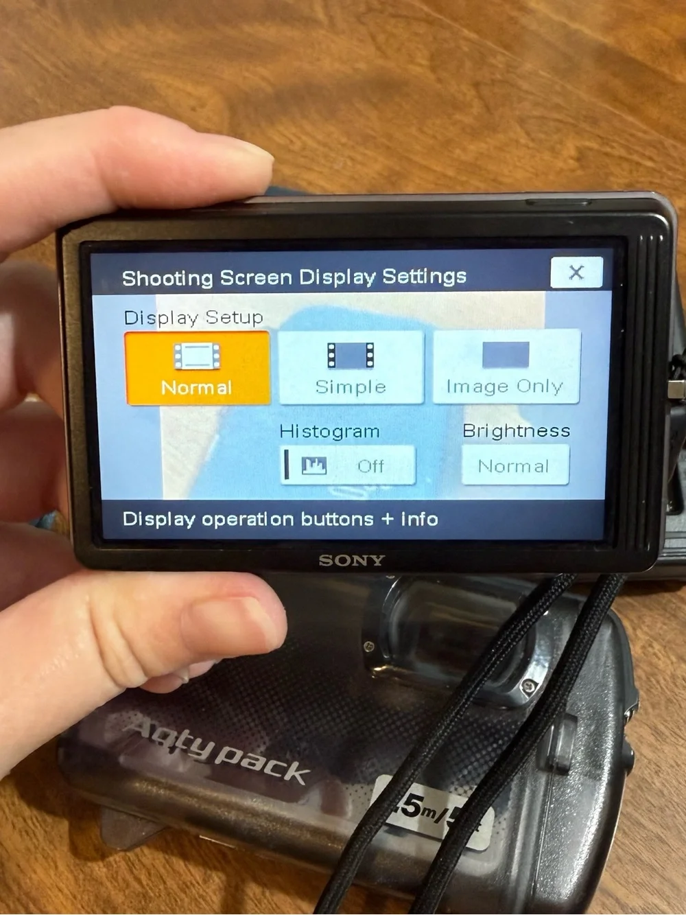 Sony Cyber Shot DSC-T700 Working With Memory Card Charger Waterproof Case